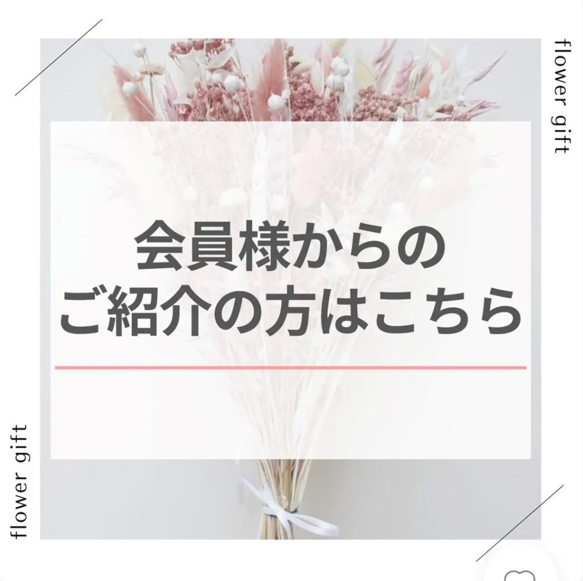エクシアホワイト 🎀 SHINAのその他イメージ