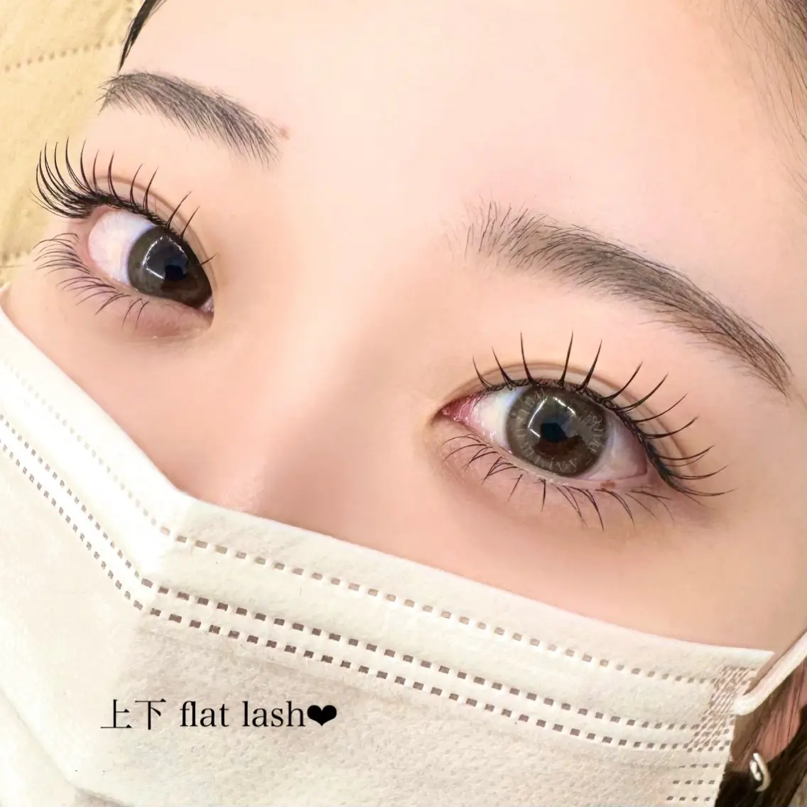 予約メニューではありません。の写真