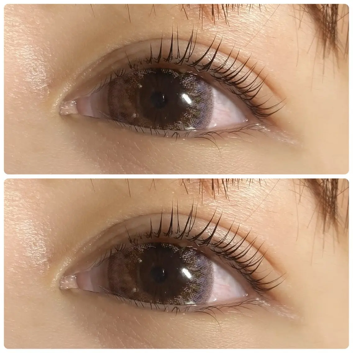 マツエク・マツパ eyelist 💙asakaの眉毛・アイブロウイメージ