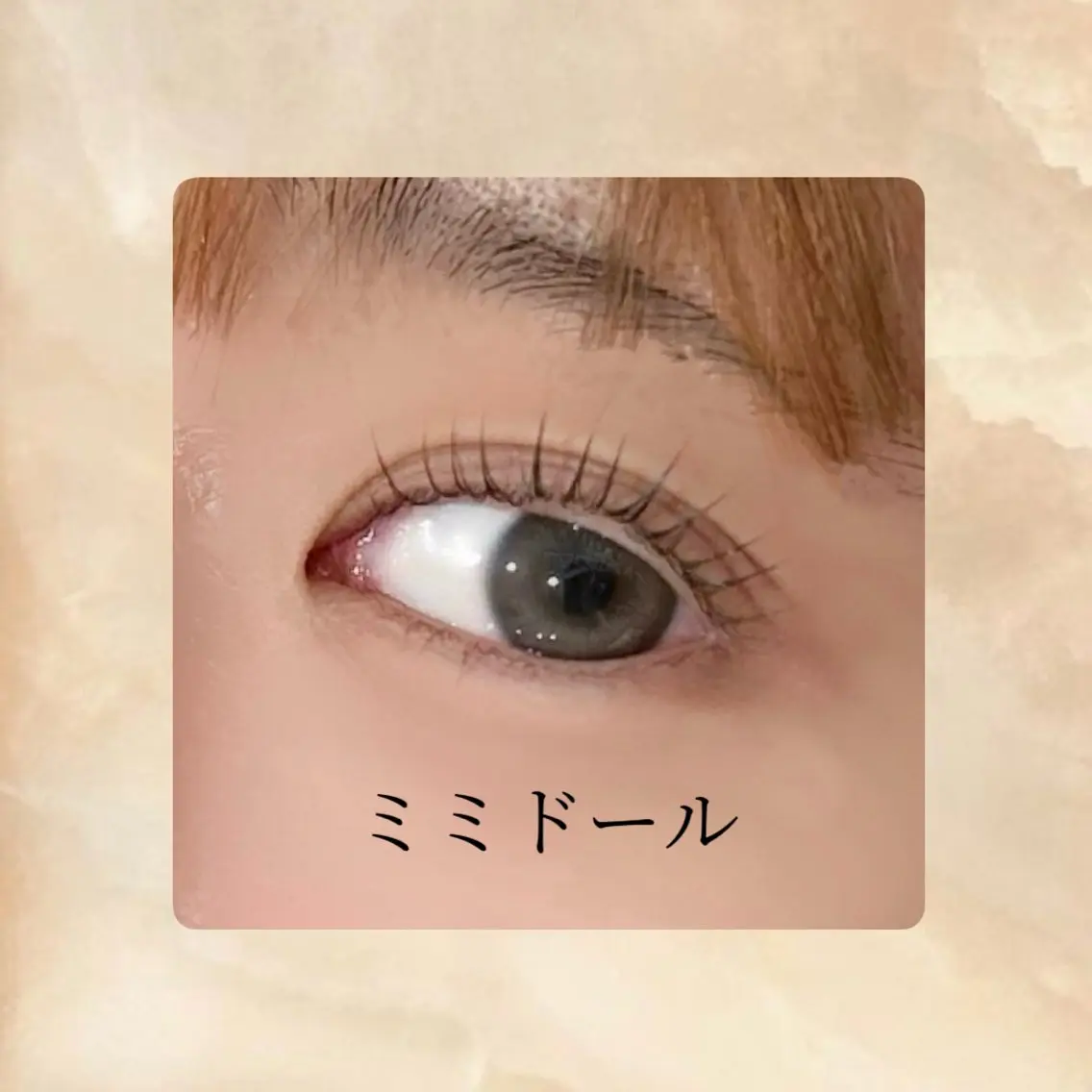 【まつげパーマ🌟立ち上げxcカール】ミミドール ¥3,480の写真