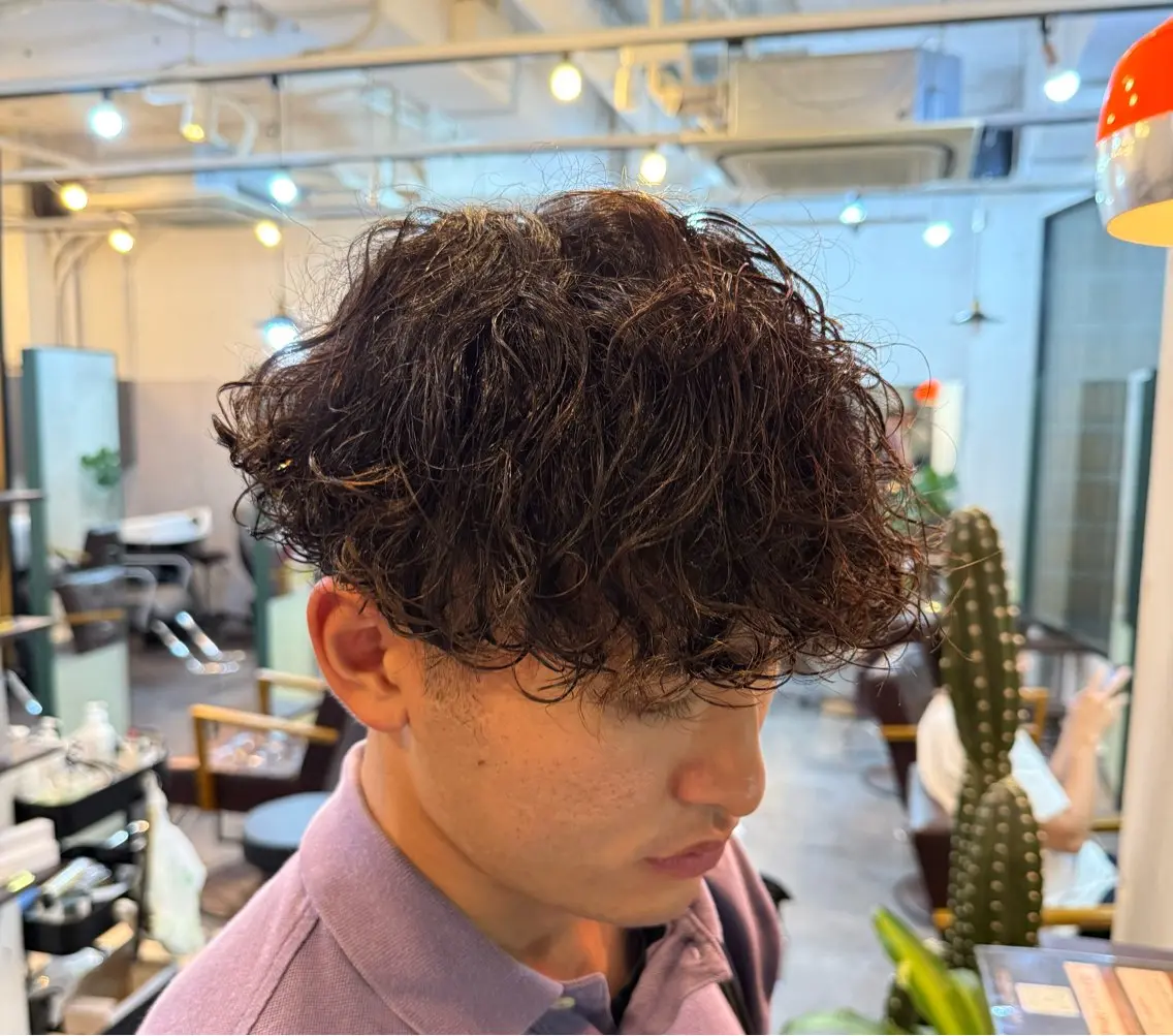 ショート パーマ メンズ カット パーマ HARBOR ゆづきのヘアスタイル