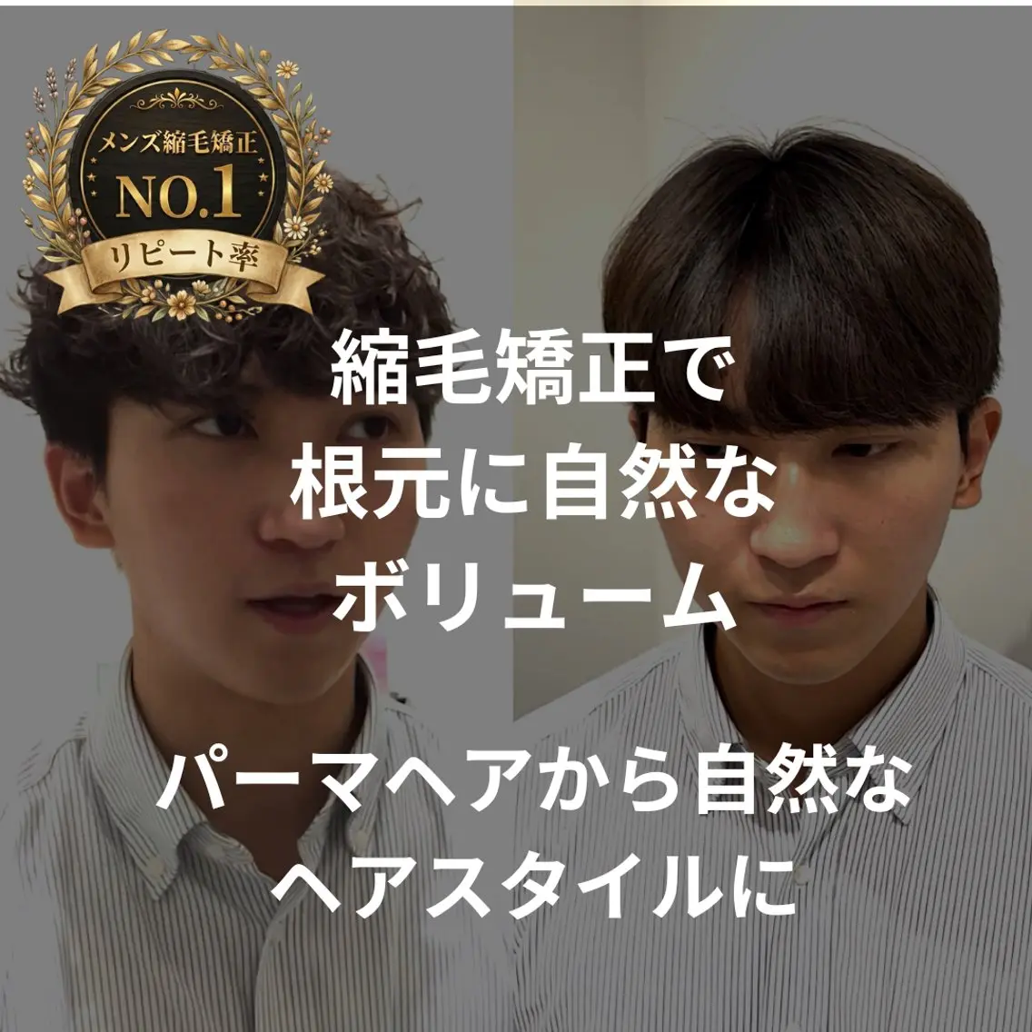 メンズ メンズパーマ カット 縮毛矯正 表参道根元ボリューム ＆曲がる縮毛矯正のヘアスタイル