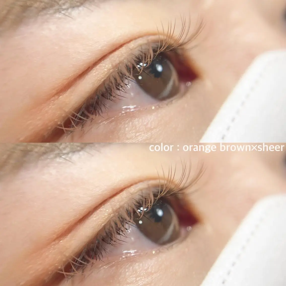 マツエク・マツパ カラーマツエク Moyu eyelashのマツエク・マツパデザイン