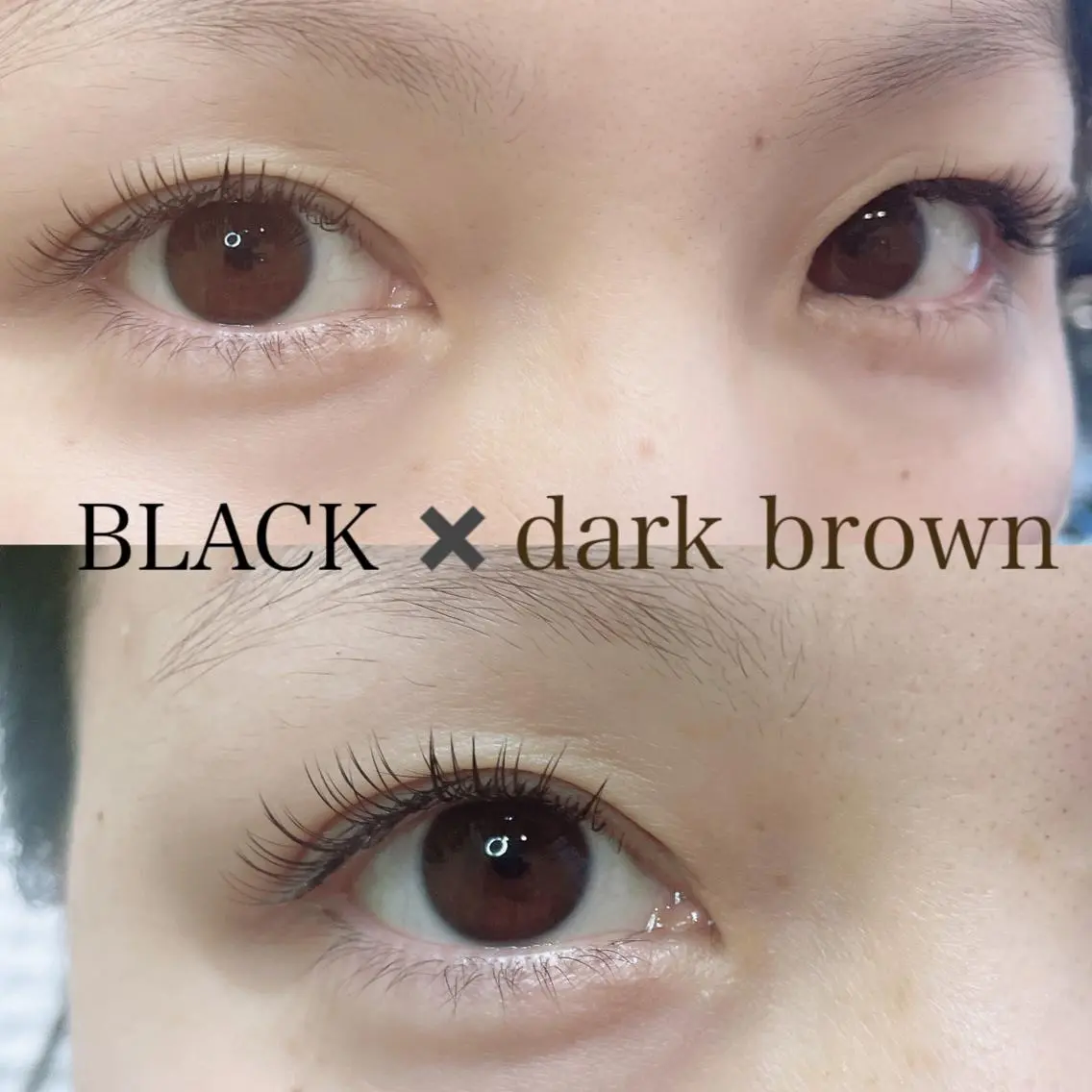 マツエク・マツパ カラーマツエク ナチュラル マツエク SEALA 高石の眉毛・アイブロウイメージ