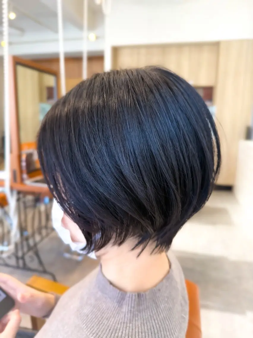 ショート カラー 桃井 達哉のヘアスタイル