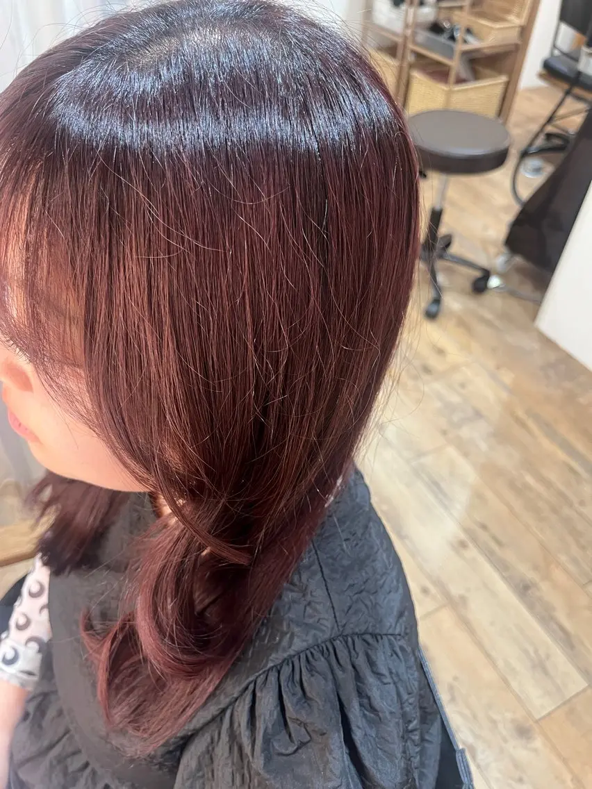 セミロング カラー ボルドーカラー グラデーションカラー ヘアカラー カラー/ストレート 🕊‎佐藤友奈‎🤍のヘアスタイル