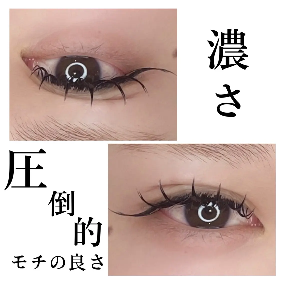 練習モデル🖤バインドロック100束🎀の写真