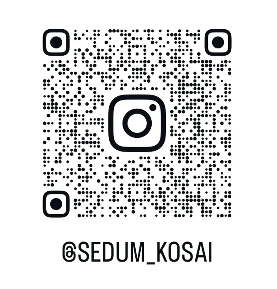 ネイル kosai sedumのネイルデザイン