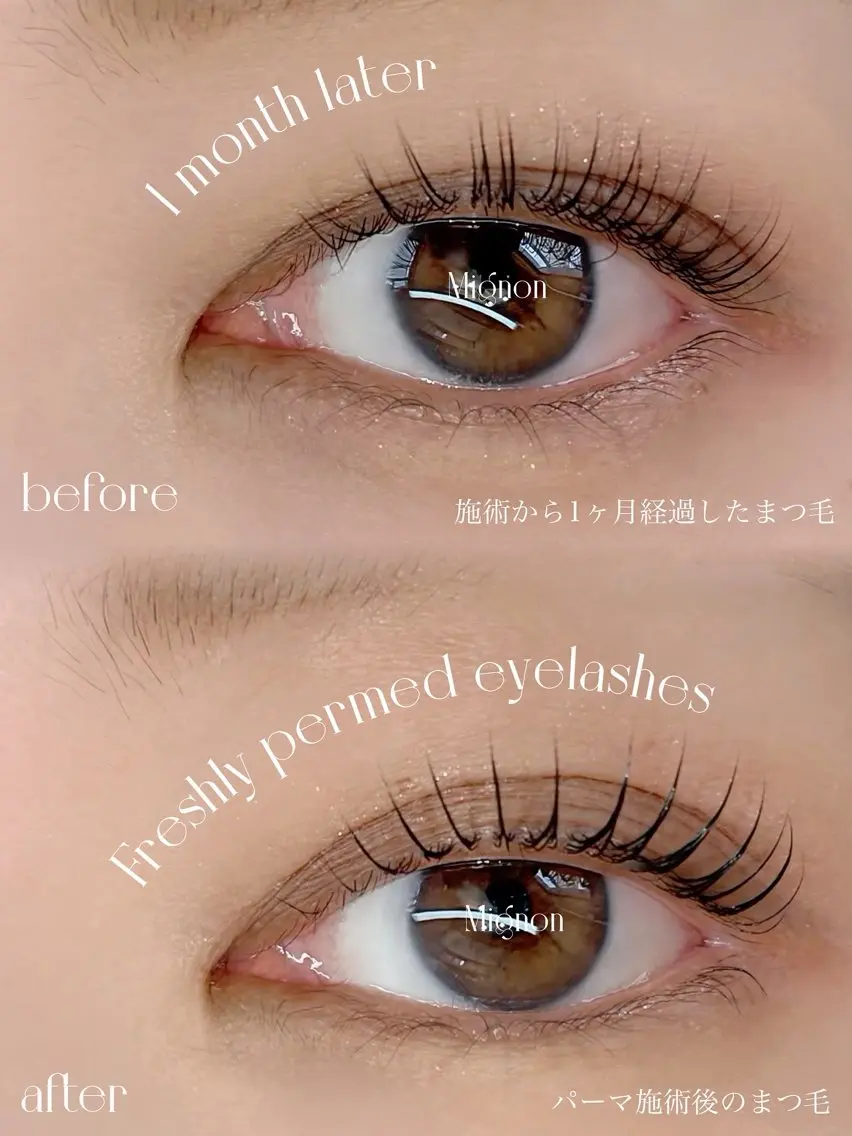 マツエク・マツパ マツパ Lash&Brow Mignon 廿日市のマツエク・マツパデザイン