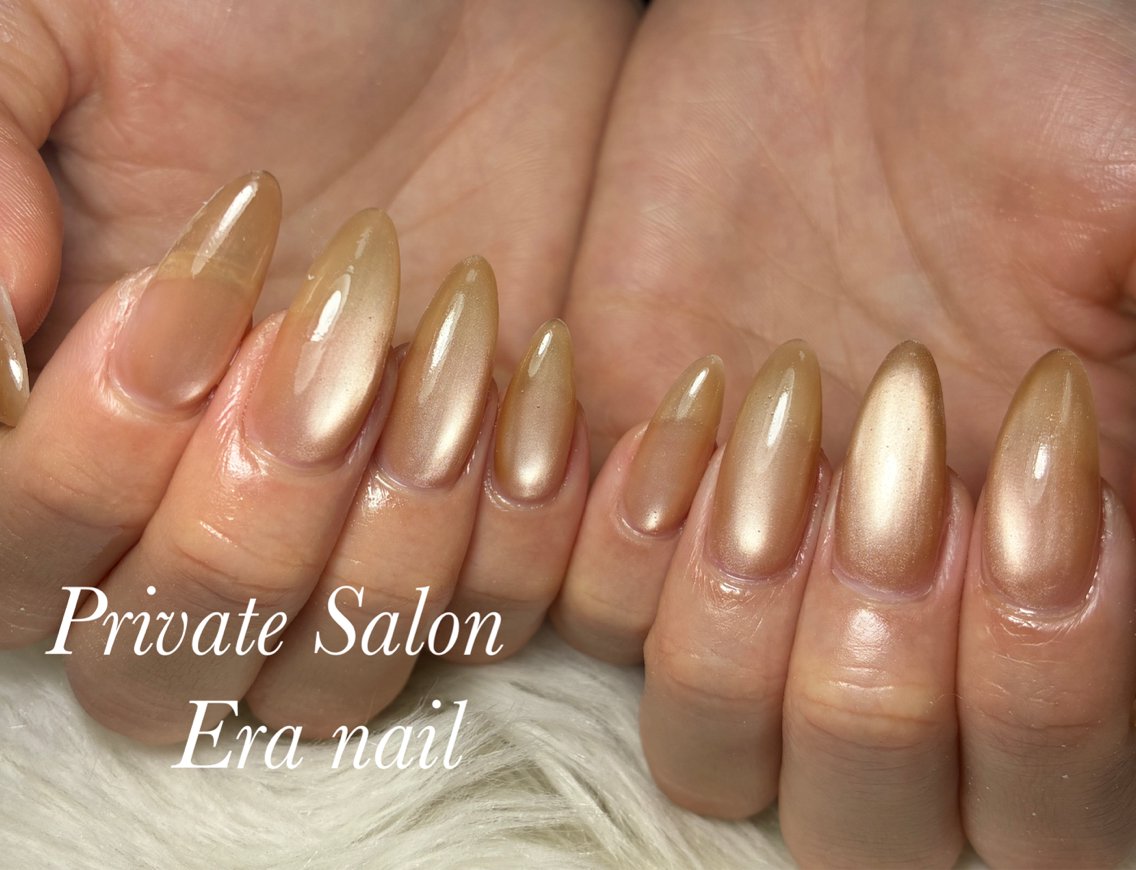 ネイル マグネットネイル マグネットワンカラー ワンカラーネイル ハンドネイル Era nailのネイルデザイン