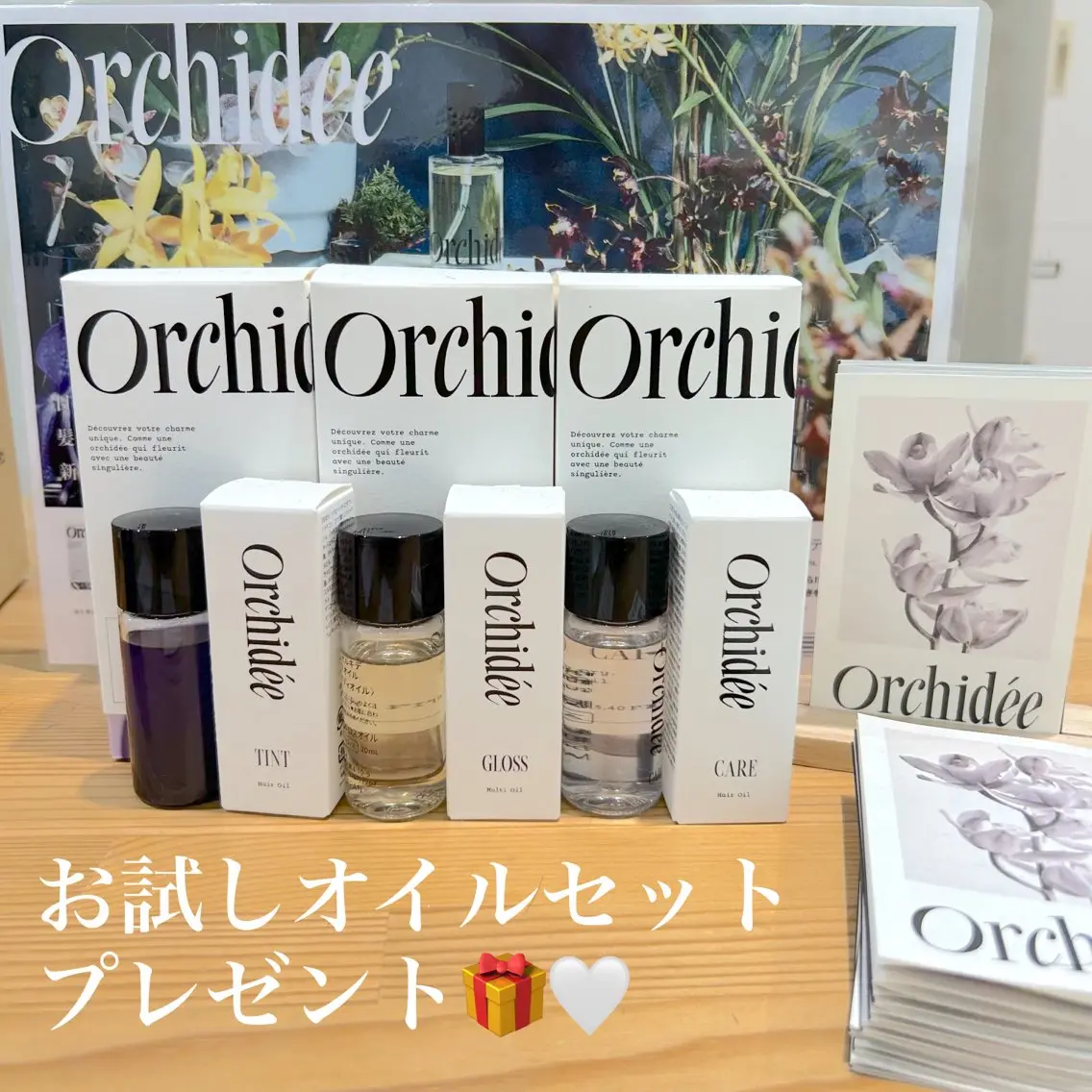 当日のご予約限定❕ワンカラー+お試しヘアオイルセットプレゼント🎀🎁の写真