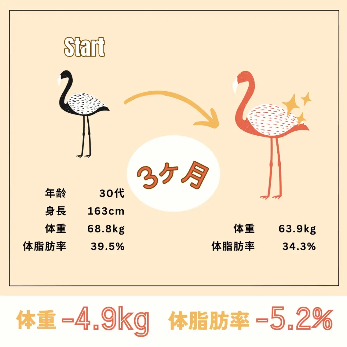 WILLCO のその他イメージ