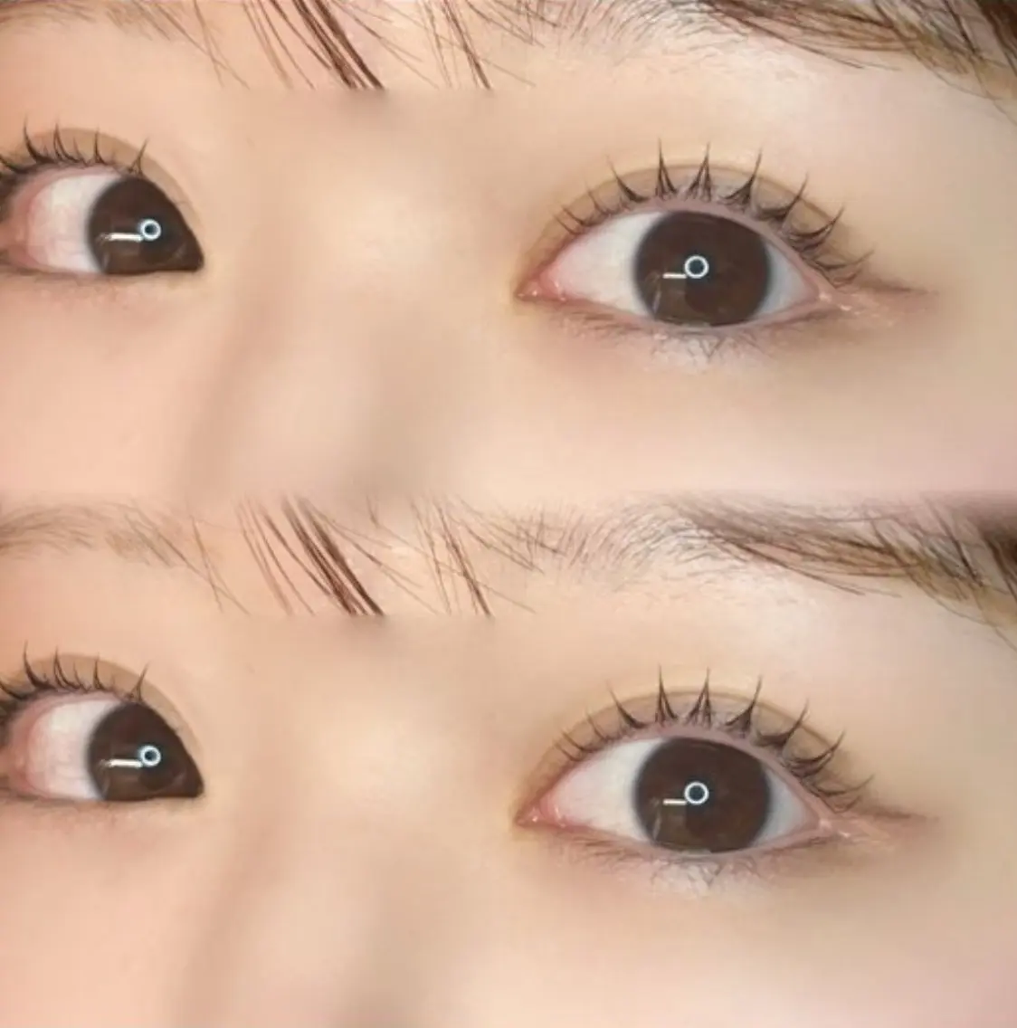マツエク・マツパ ｡ꕤ°₊sakura 束感まつ毛‎⊹𓈒✿のマツエク・マツパデザイン
