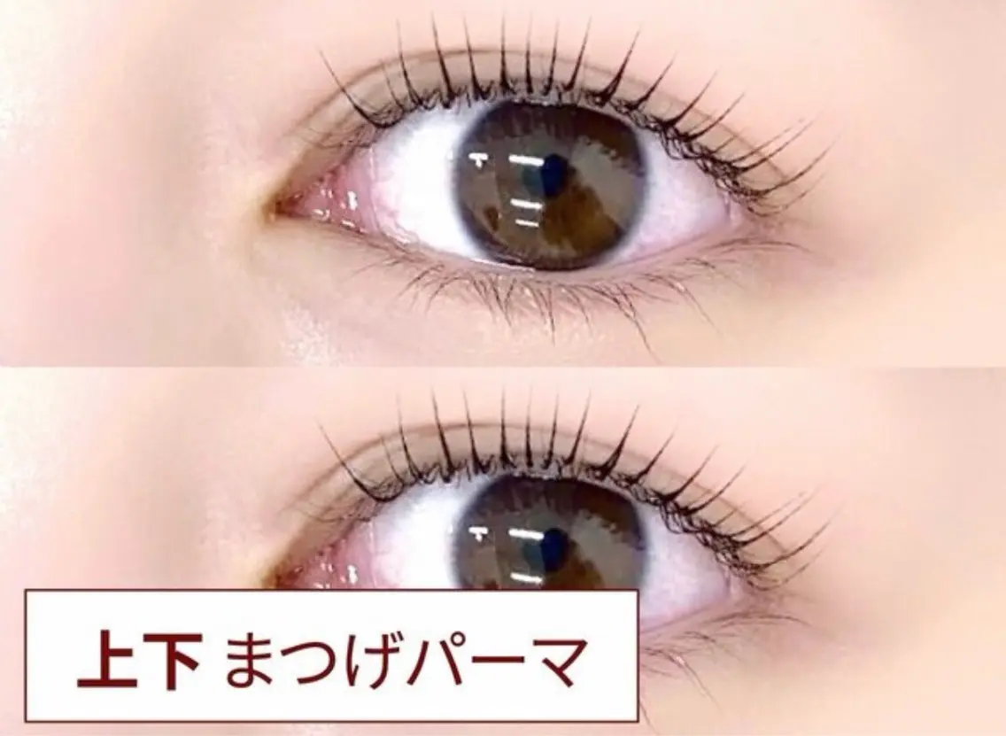 Jr練習モデル🔰上下まつげパーマ⚠️補足を必ずご確認ください【13:30-】日時指定の募集になります。の写真