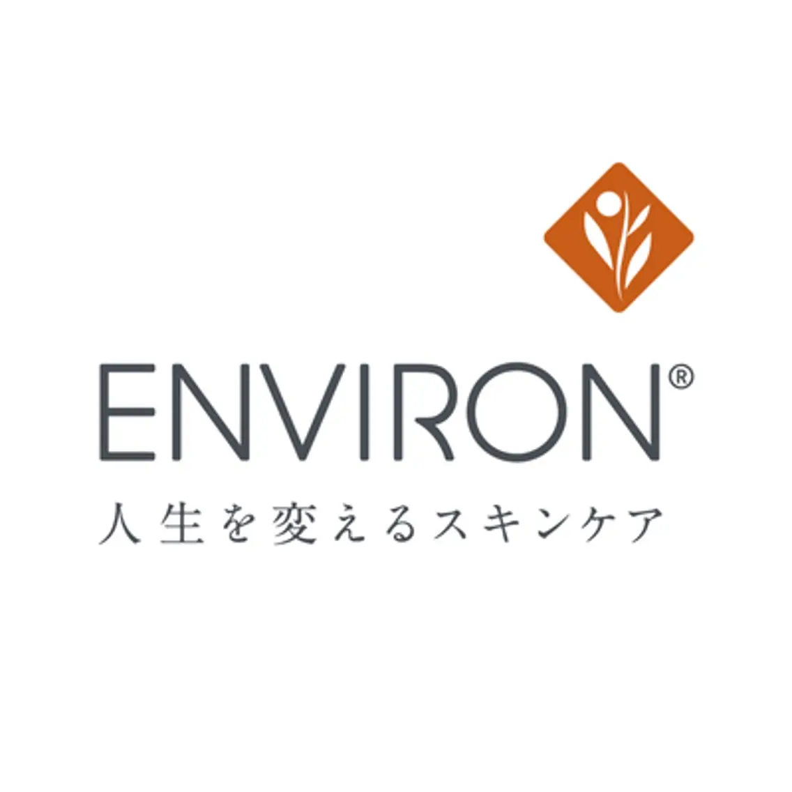【 エンビロン 】クールビタミン導入✩︎⡱の写真