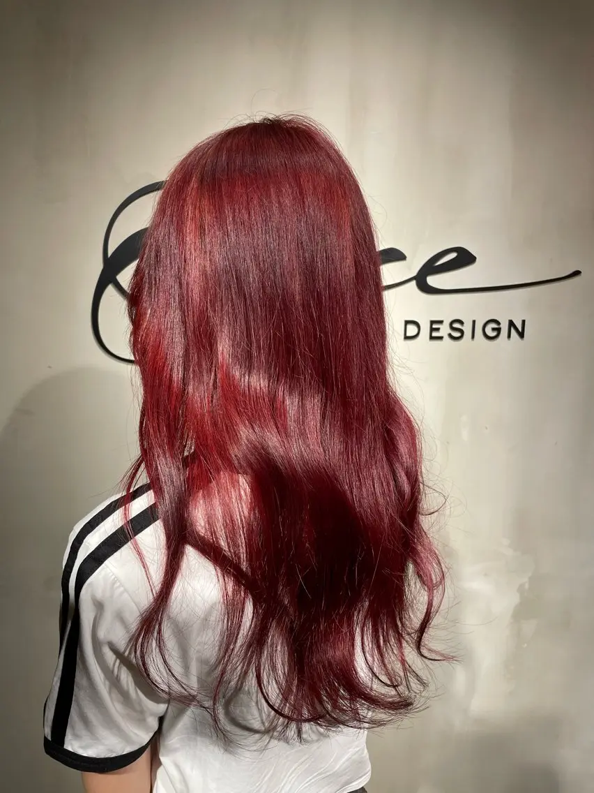 ロング カラー レッドカラー 艶感/レイヤーカット 🌐Taketoのヘアスタイル