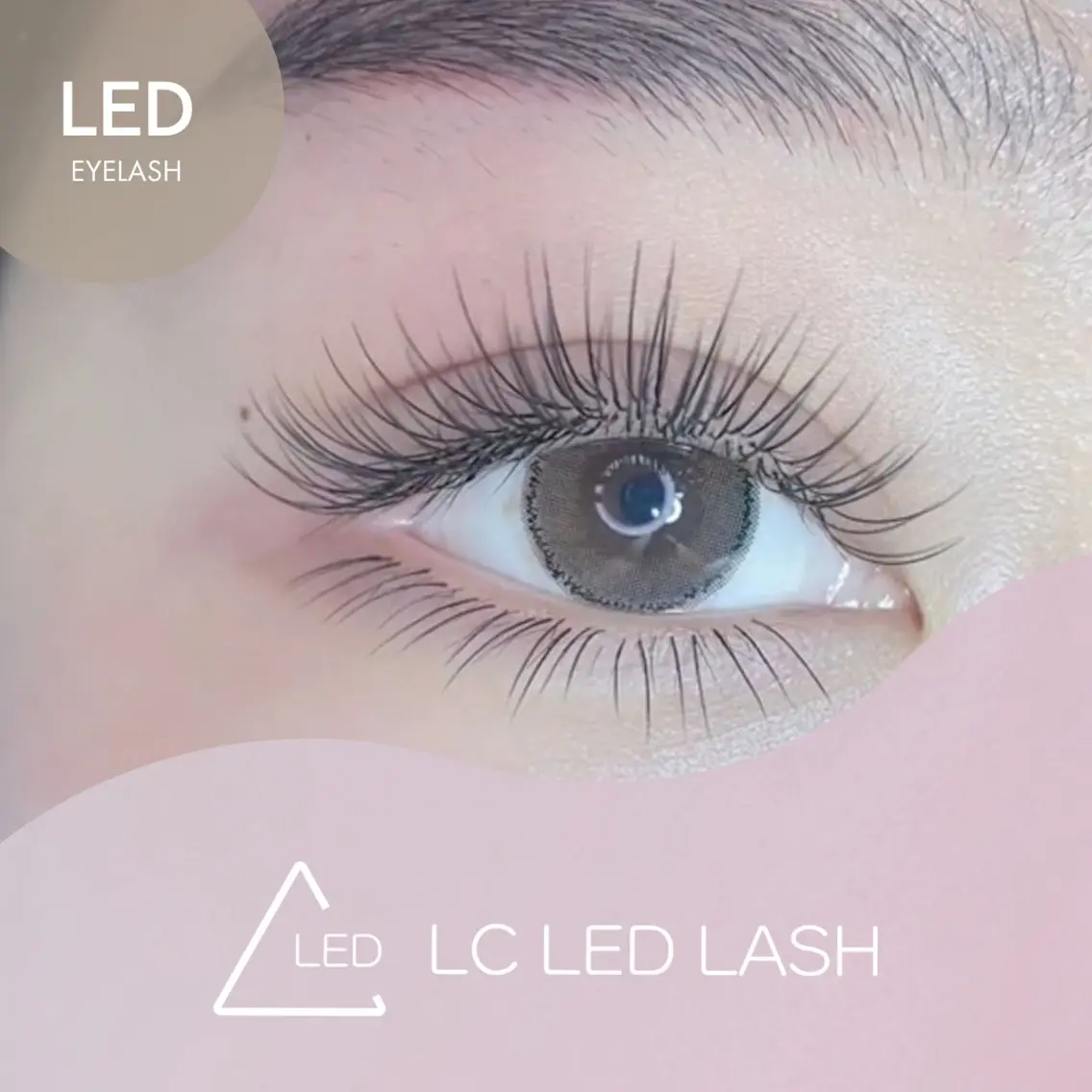 最新🪼持ちが抜群▶︎【LEDマツエク】🪼フラット100本 モチ・バラツキ・低刺激👏🏻👏🏻の写真