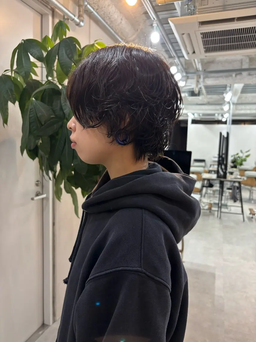 ショート パーマ カット パーマ トリートメント 透明感カラー/髪質改 善/烏丸御池/寿々乃のヘアスタイル