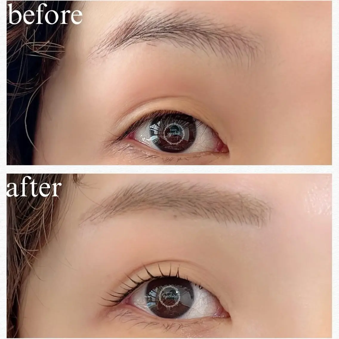 ✨美眉スタイリング(眉WAX)+上まつげパーマ✨の写真