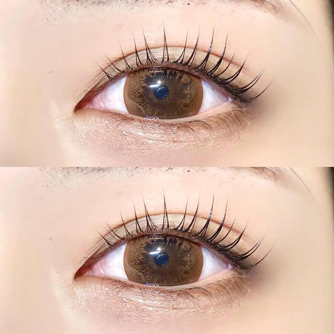🌸セットメニュー🌸《パリジェンヌラッシュリフト上下＋トリートメント🧴》の写真