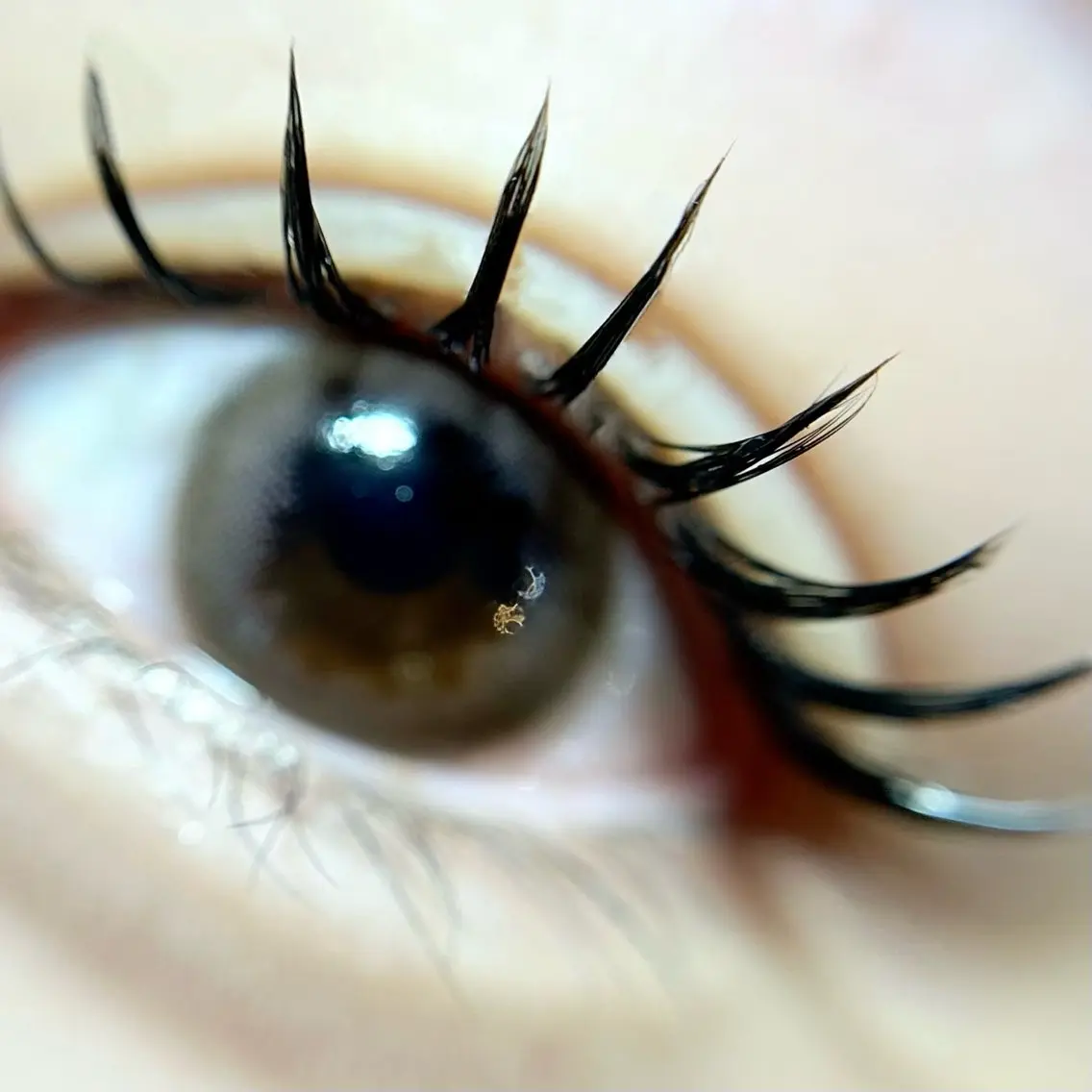 マツエク・マツパ komatsu eyelash恵比寿のマツエク・マツパデザイン