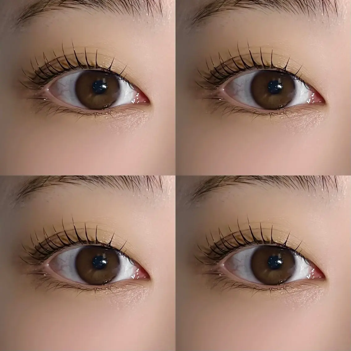 マツエク・マツパ 垢抜け眉WAX専門 ちゅるんまつげ|鎌倉の眉毛・アイブロウイメージ