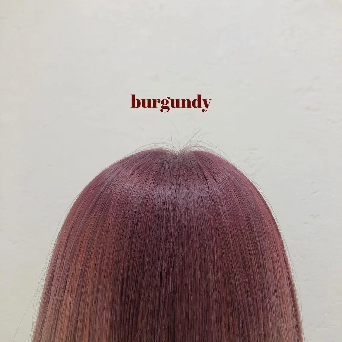 セミロング カラー 🤍オオカワ レイナ🤍のヘアスタイル