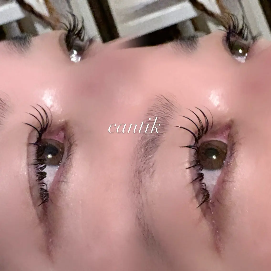 マツエク・マツパ CANTIK🌙 ルナのマツエク・マツパデザイン