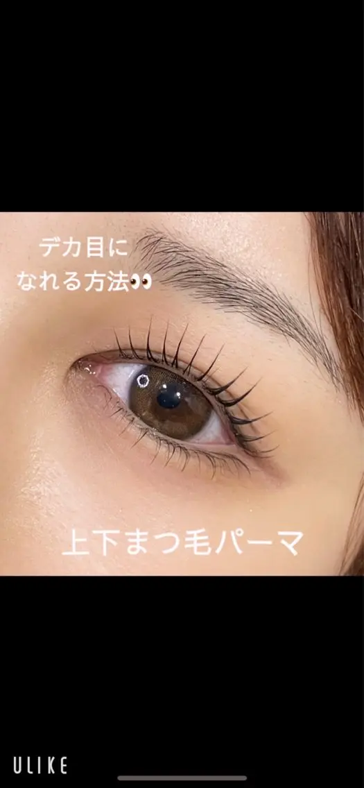 上下ラッシュリフトの写真