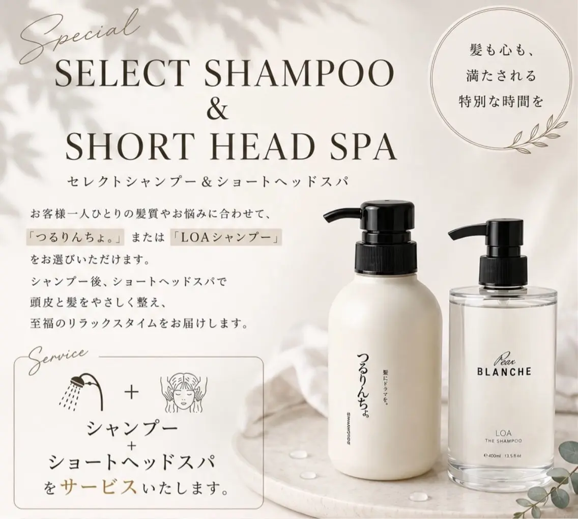 《セレクトシャンプー&ショートヘッドスパ付》メンテナンスカット+艶カラー+プレミアムEVERTR ※ロング料金なしの写真