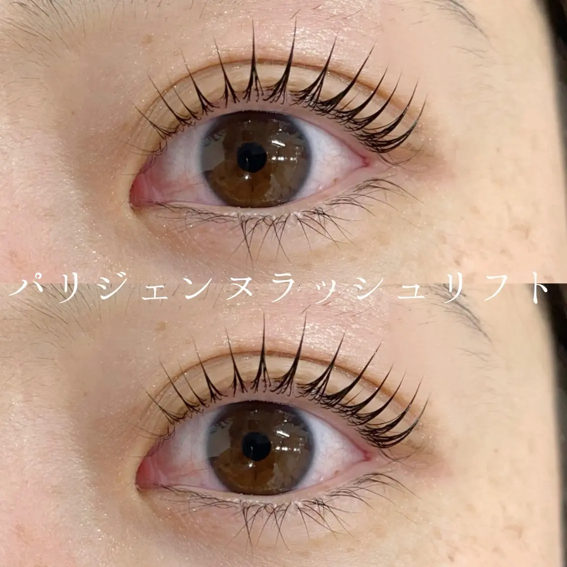 【次世代まつ毛パーマ】パリジェンヌラッシュリフト〈コーティング付〉¥6000+指名料¥300 ※オフ不可※の写真