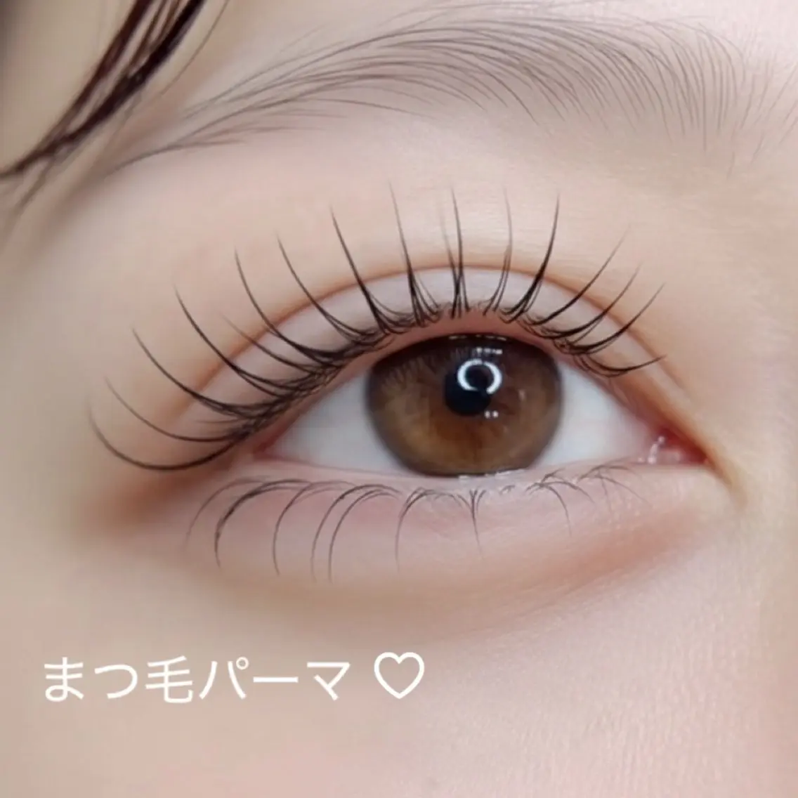 マツエク・マツパ 🌷LOARK eyelash.梶川のマツエク・マツパデザイン