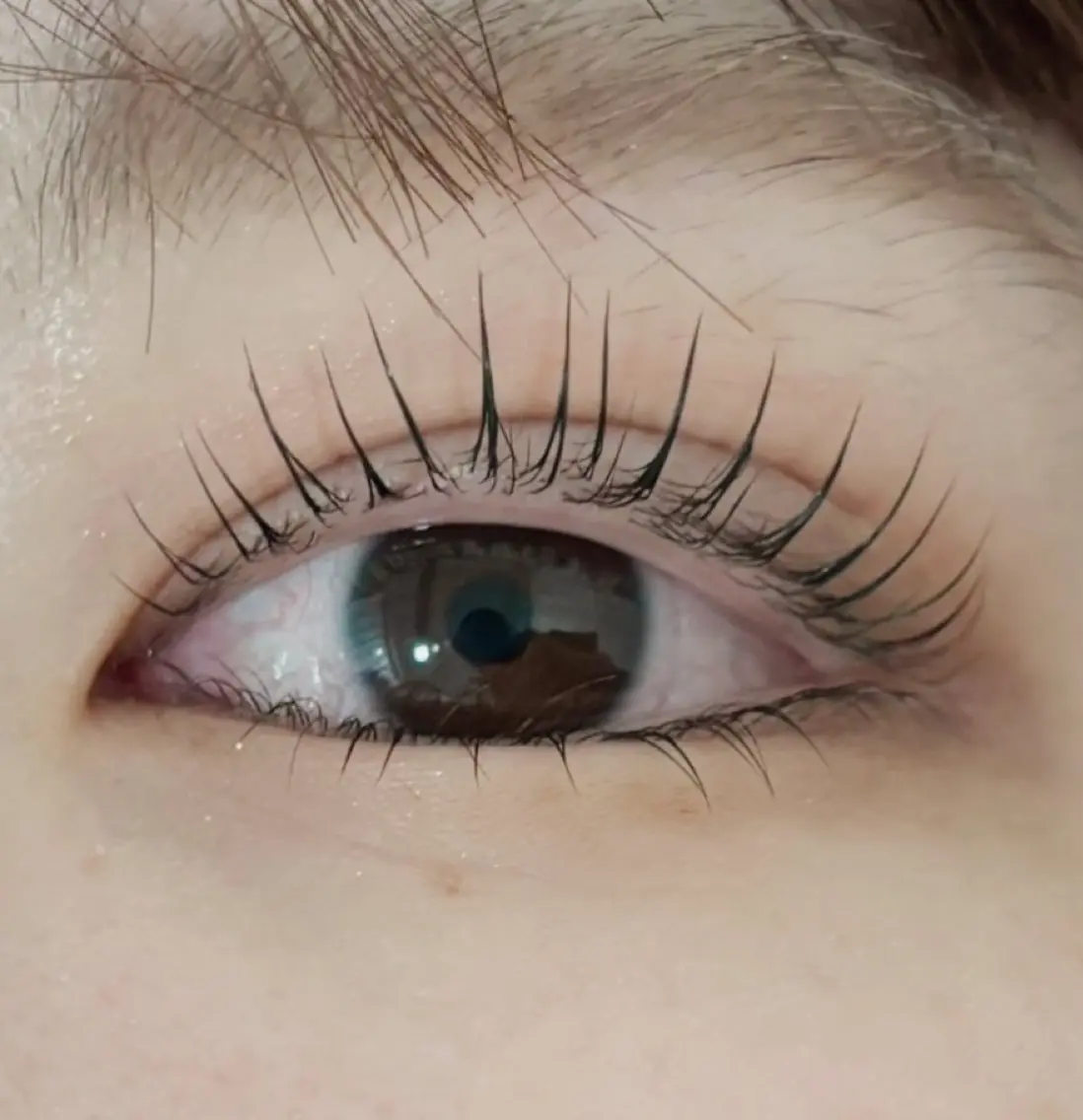 マツエク・マツパ パリジェンヌラッシュリフト 🤍eyelist yuna🤍の眉毛・アイブロウイメージ