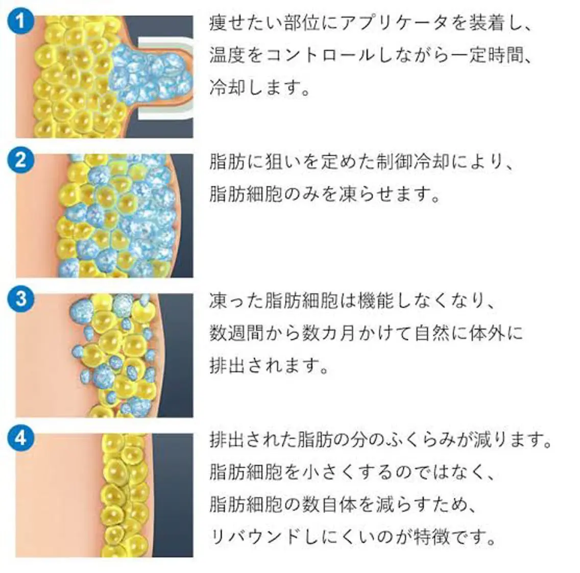 菅沼 奈津子のエステ・リラクイメージ