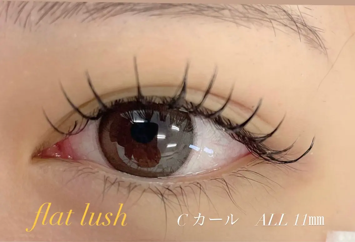 フラットラッシュエクステ ナチュラル向け 100本★【ご新規様オフ無料】の写真