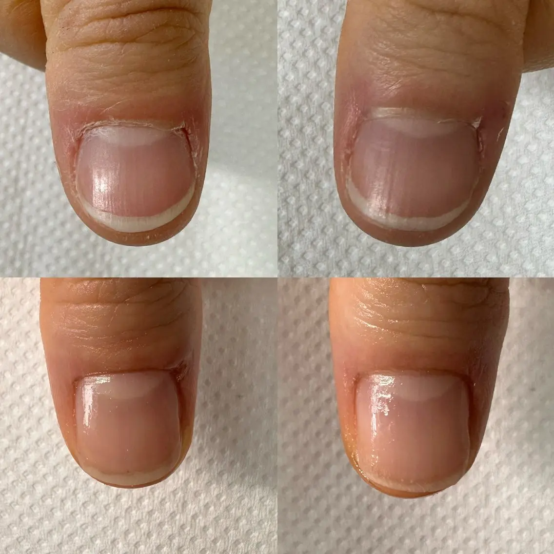 ネイル ネイルケアサロン Campanulaのネイルデザイン