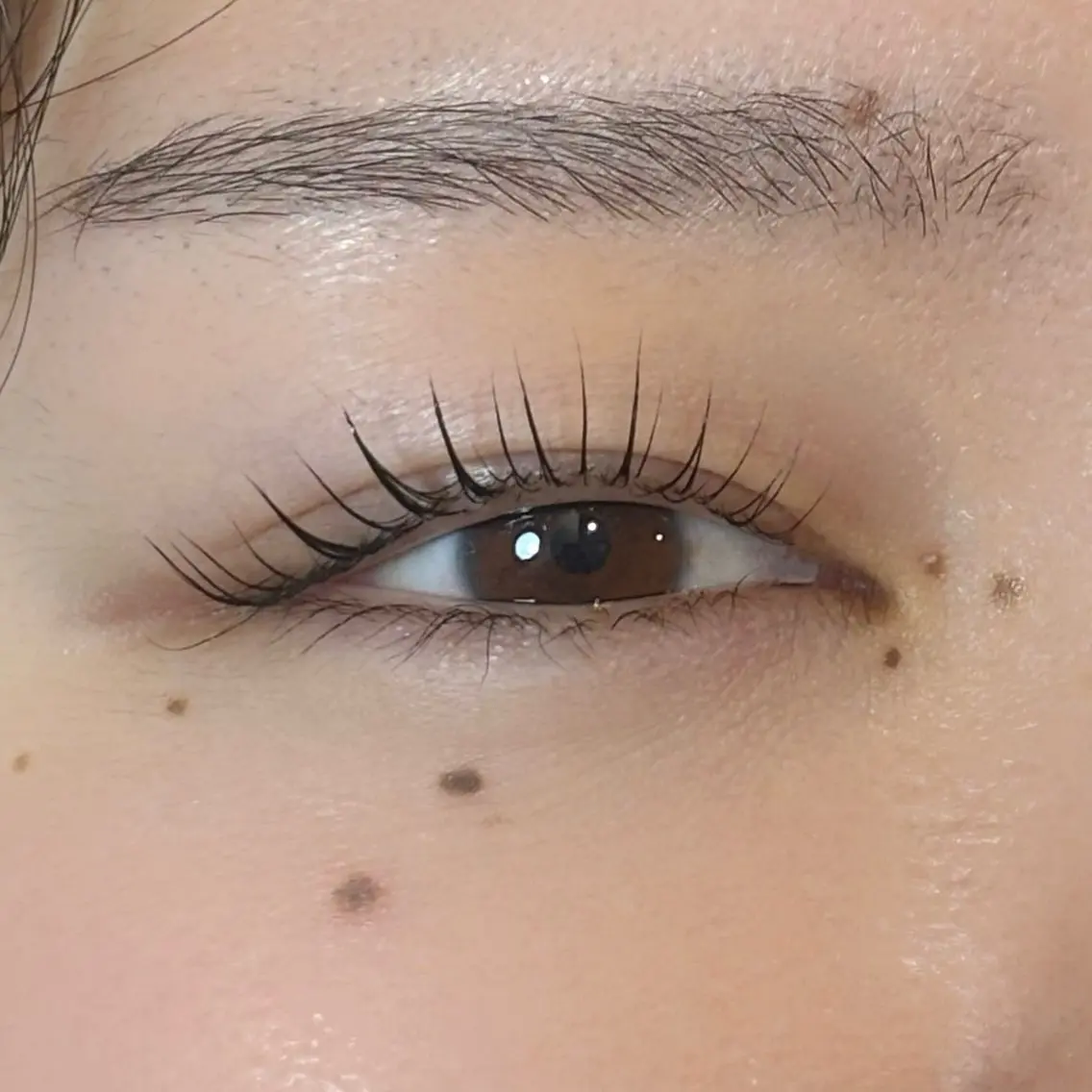 【パーソナルラッシュリフト】まつ毛パーマの写真