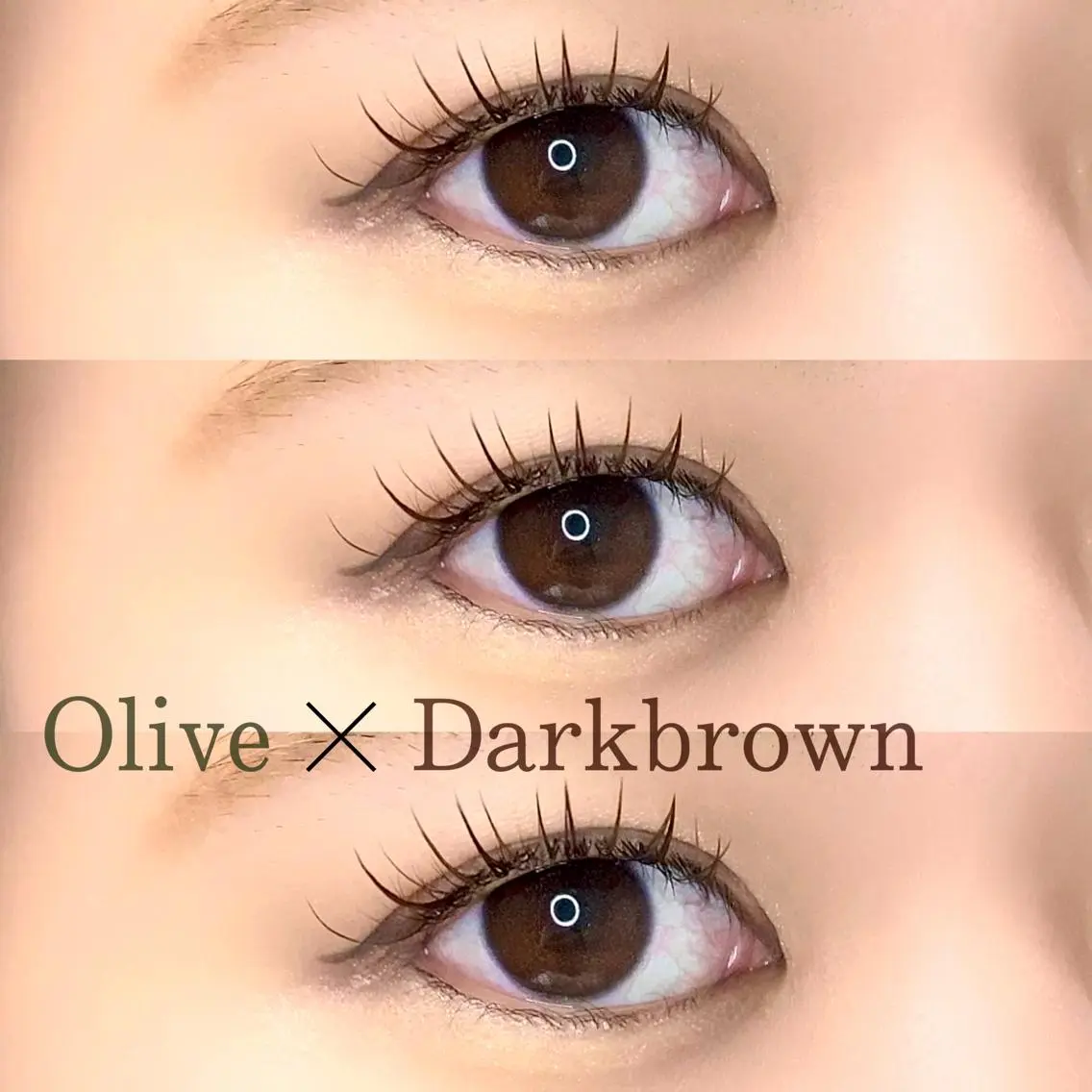 マツエク・マツパ カラーマツエク eyelash "Koa"🕊🤎のマツエク・マツパデザイン