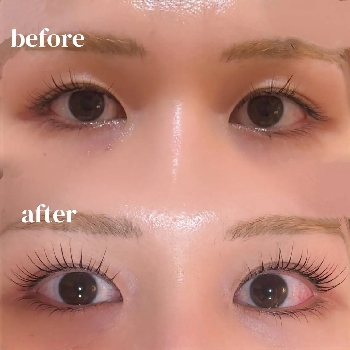 マツエク・マツパ マツパ BROW+ / momokaのマツエク・マツパデザイン
