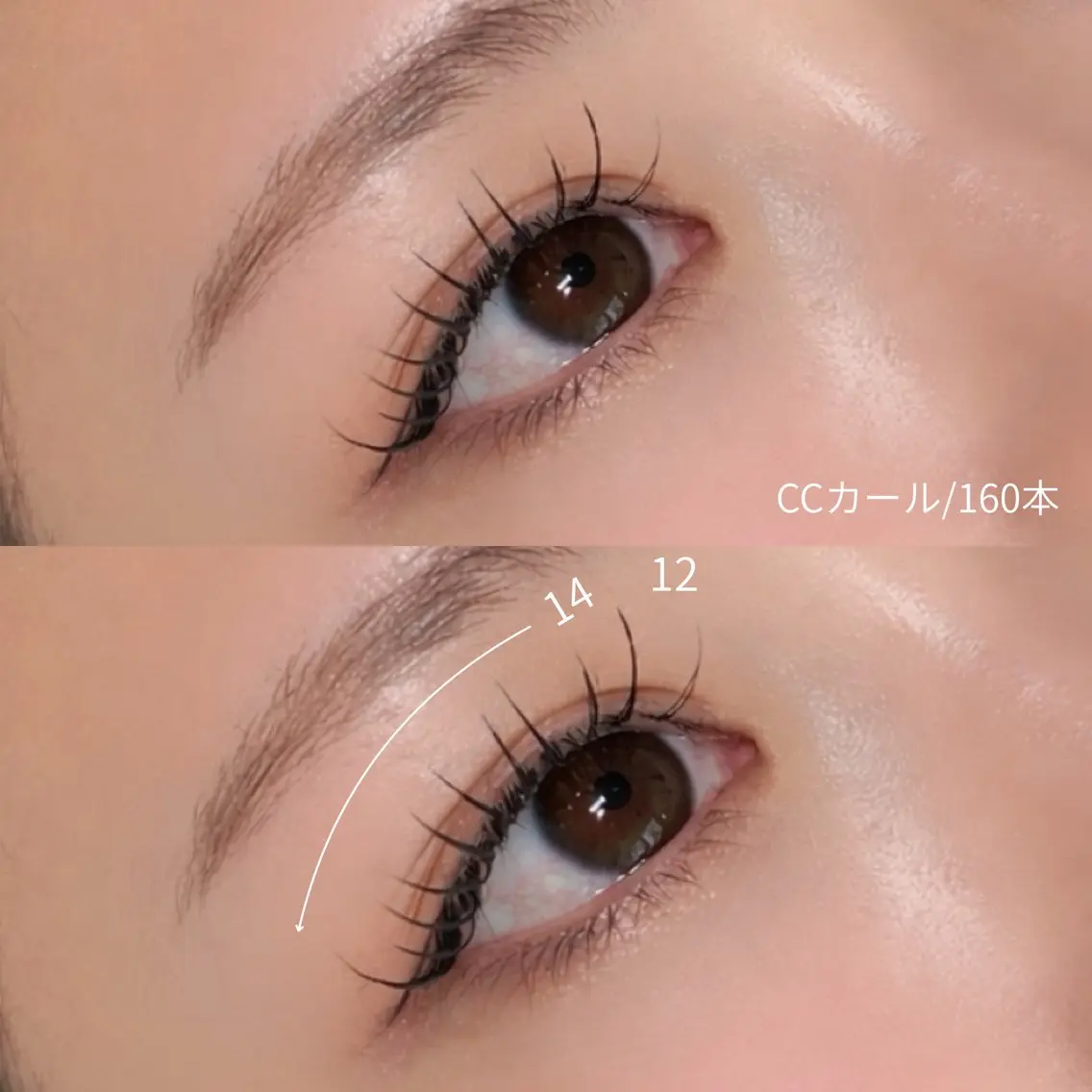 【フラットラッシュ】100本(オフ込み)の写真