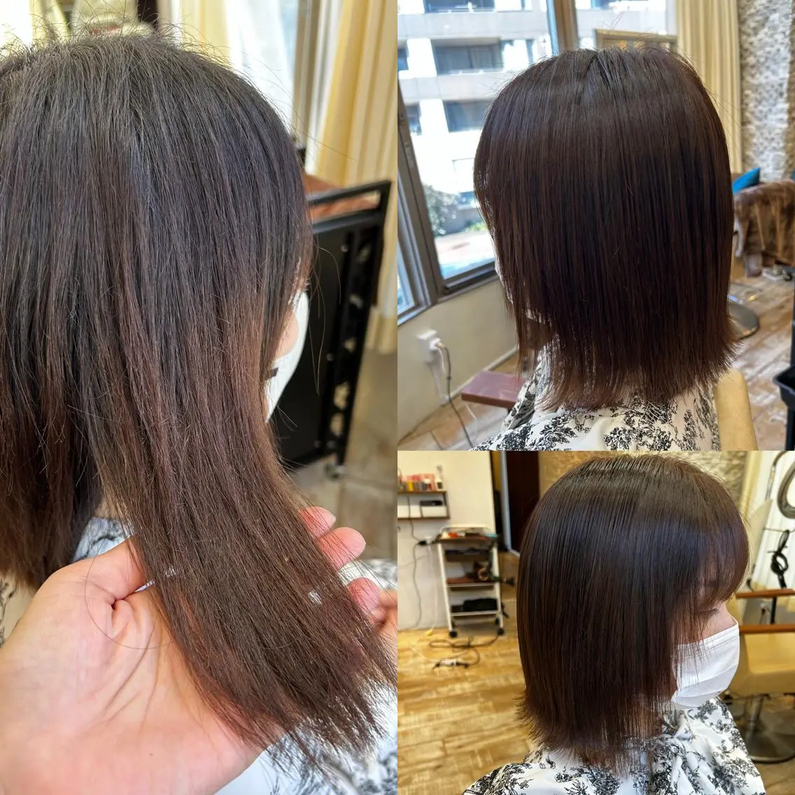 カラー 石川 由美子のヘアスタイル