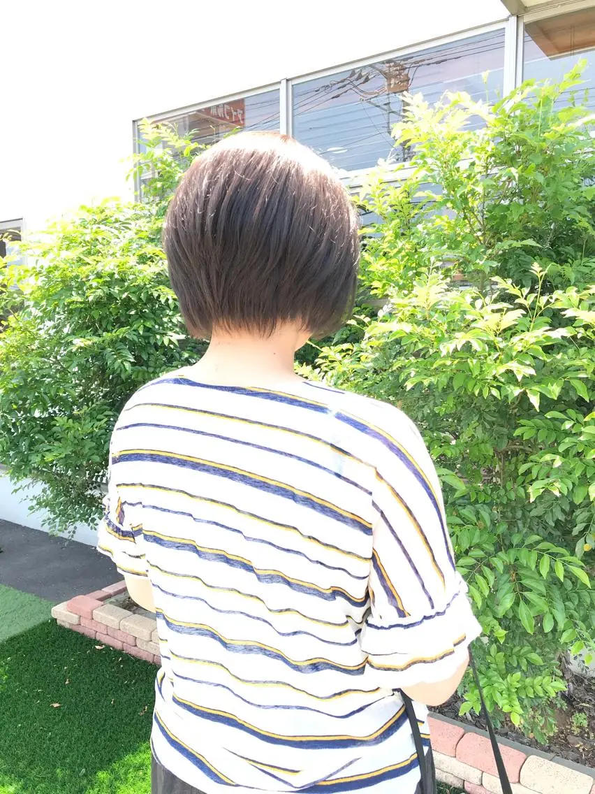 カットの写真