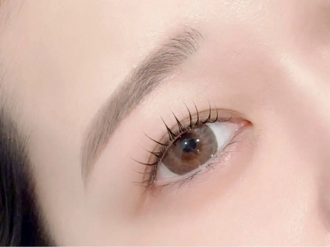 【ラッシュリフト➕眉毛WAX】￥8500🩷の写真