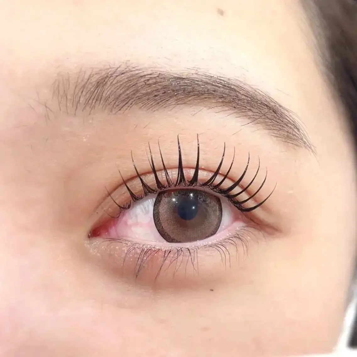 マツエク・マツパ Lafesta Beautyの眉毛・アイブロウイメージ