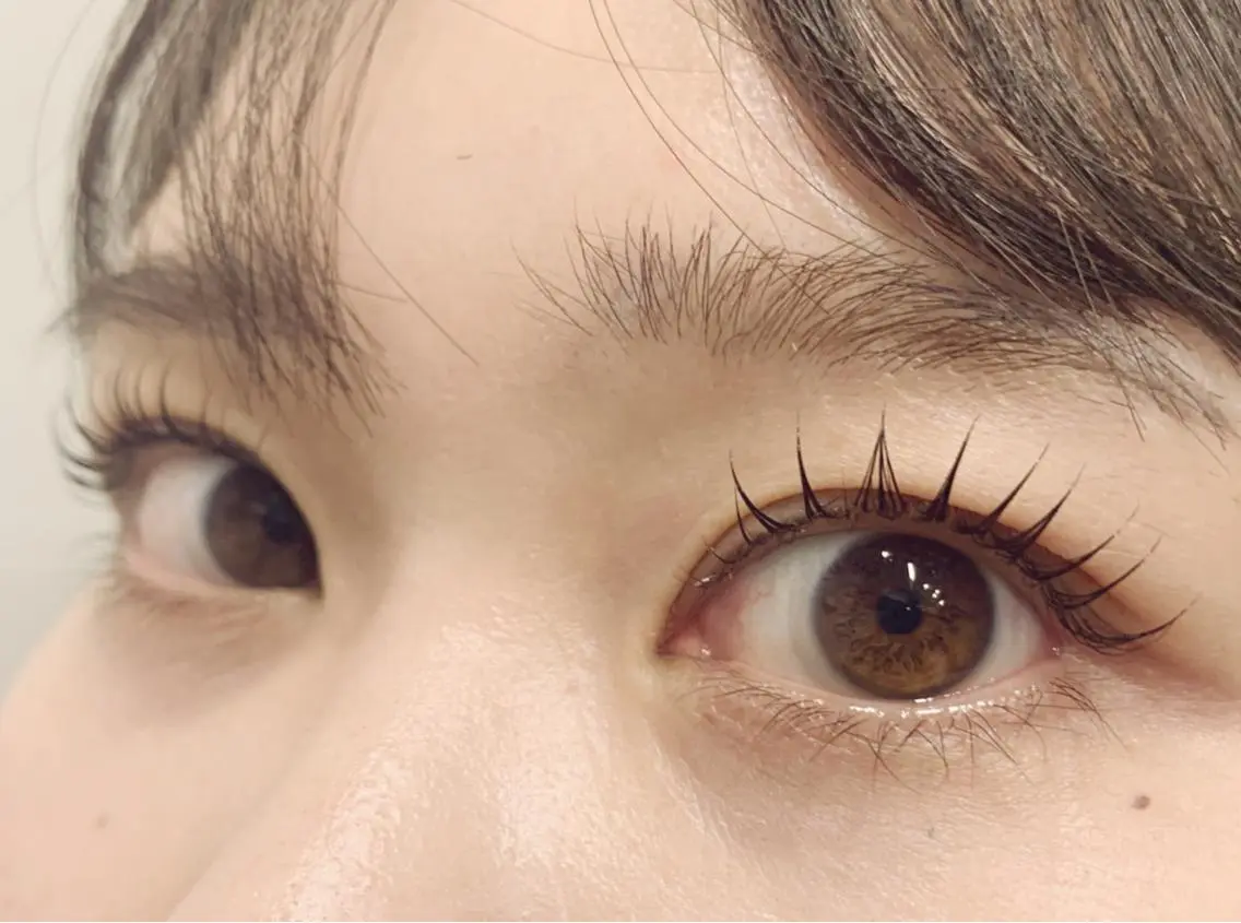 ✔️ラッシュリフト トリートメントプラス🌷の写真