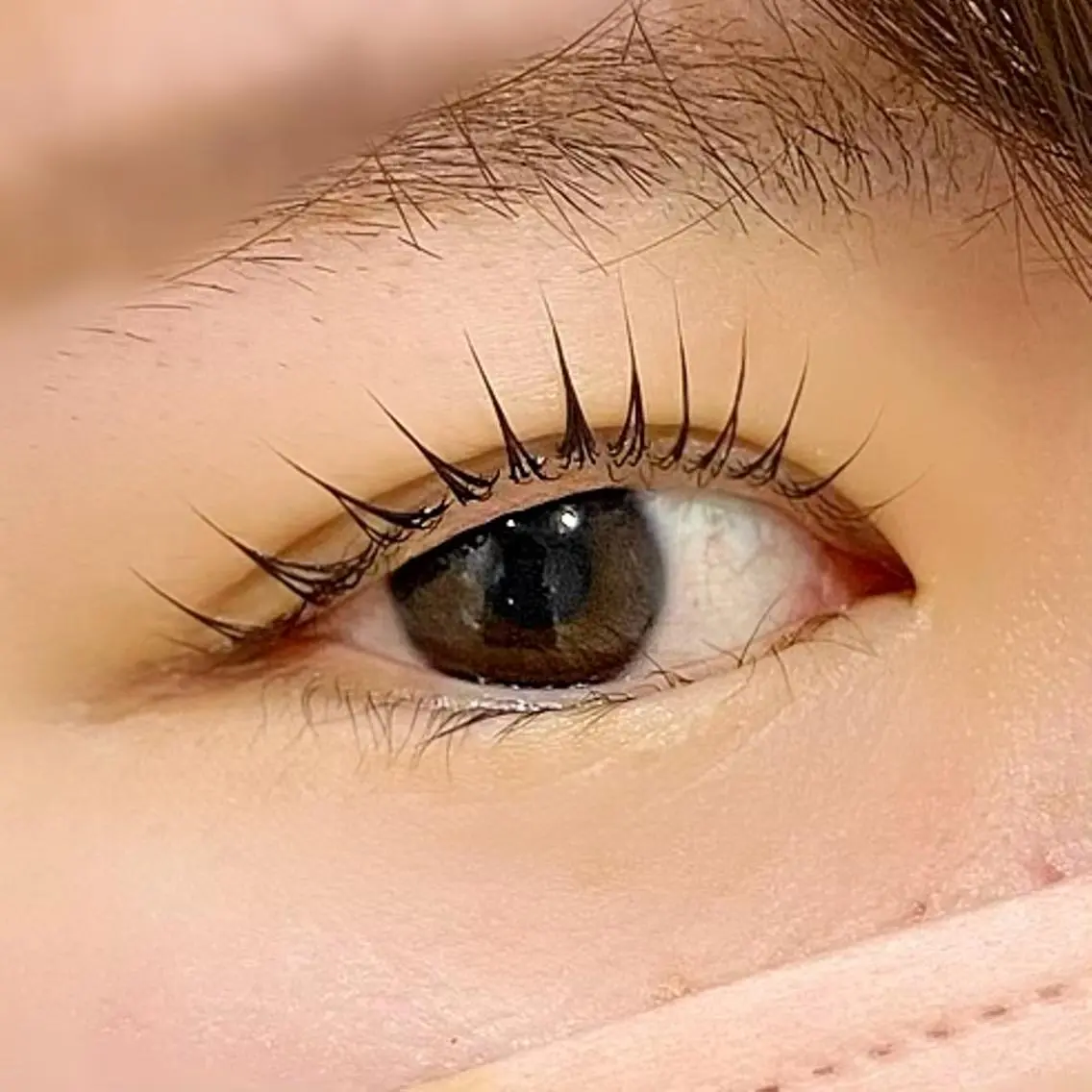 マツエク・マツパ マツパ CreBiA eye  八神茉莉のマツエク・マツパデザイン