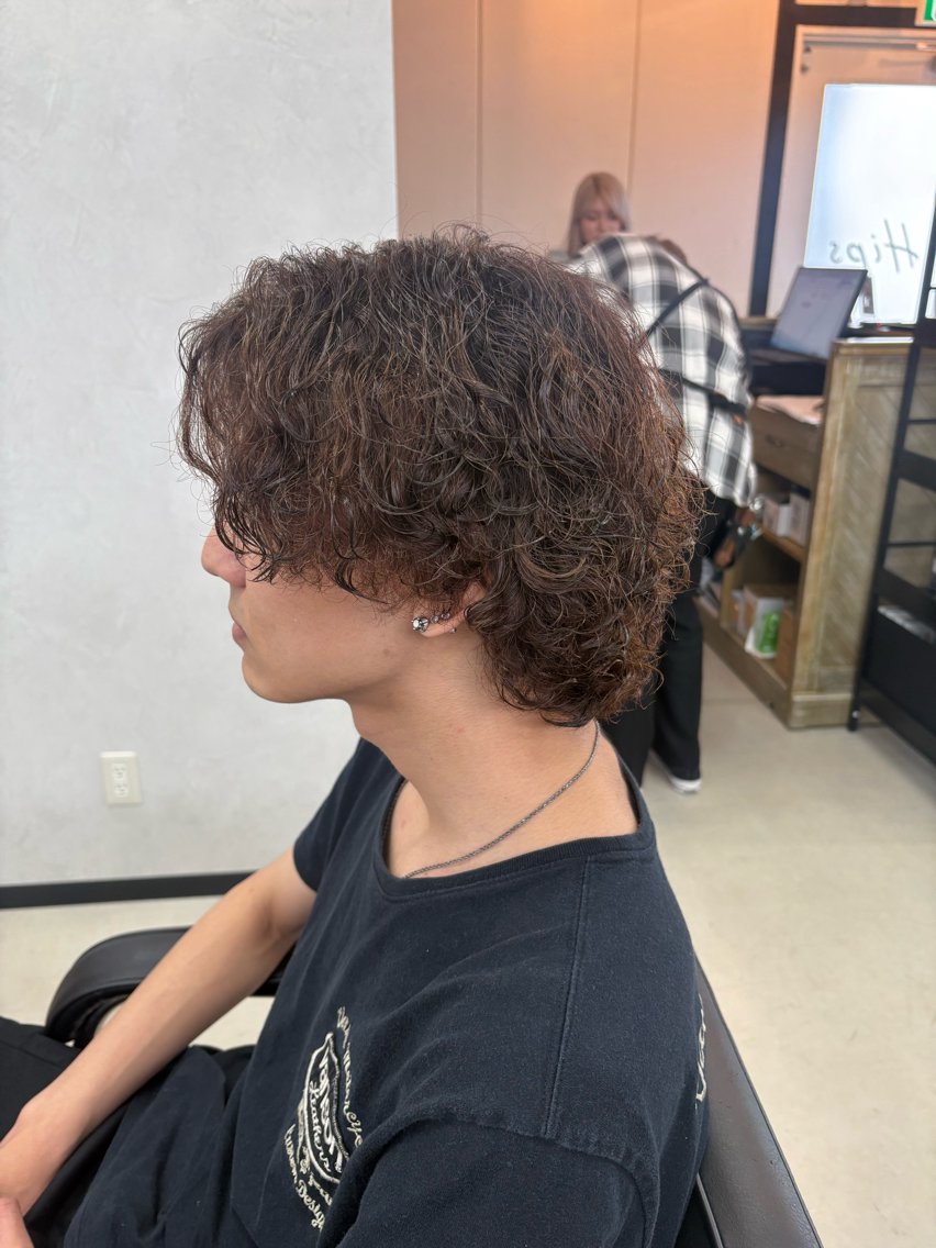パーマ メンズ メンズパーマ プードルパーマ プードルパーマ メンズヘアの達人 ケミカル光のヘアスタイル