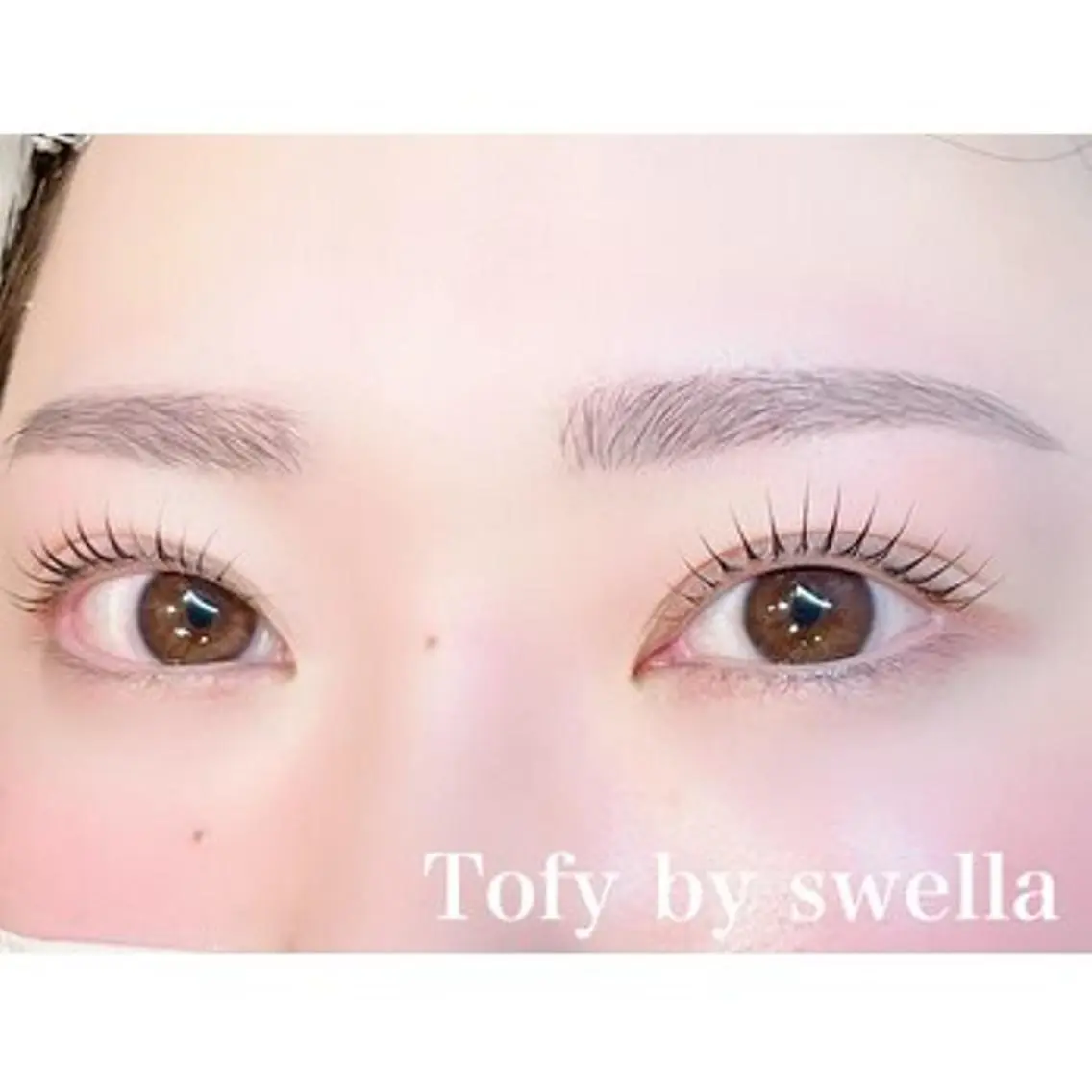 マツエク・マツパ Tofy by swellaのマツエク・マツパデザイン