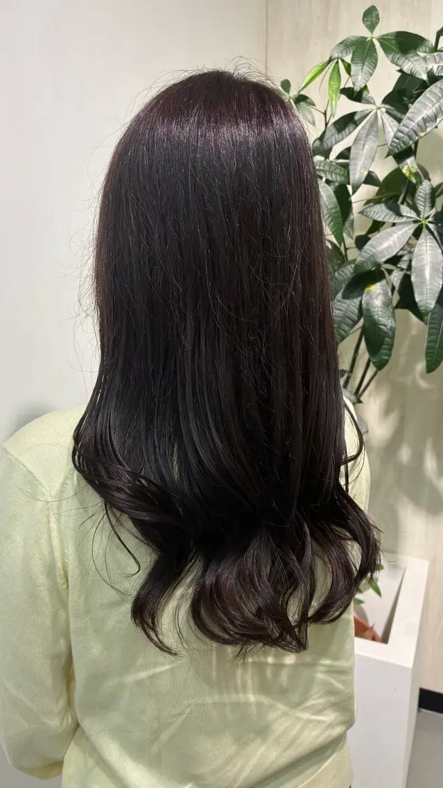 セミロング カラー ヘアアレンジ 🌟小出 倫花🌟 艶カラー/カットのヘアスタイル