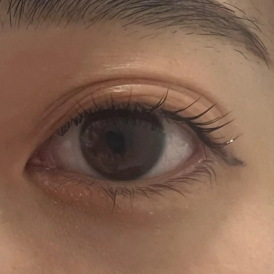 マツエク・マツパ WHITE EYE Maoの眉毛・アイブロウイメージ